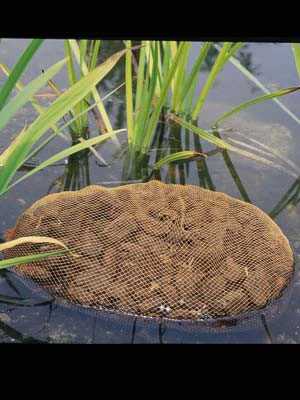 Aquahumin Von OASE (Art.Nr.53759) â Bild 2