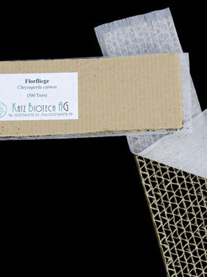 Florfliege (Art.Nr. KB4070) â Bild 3