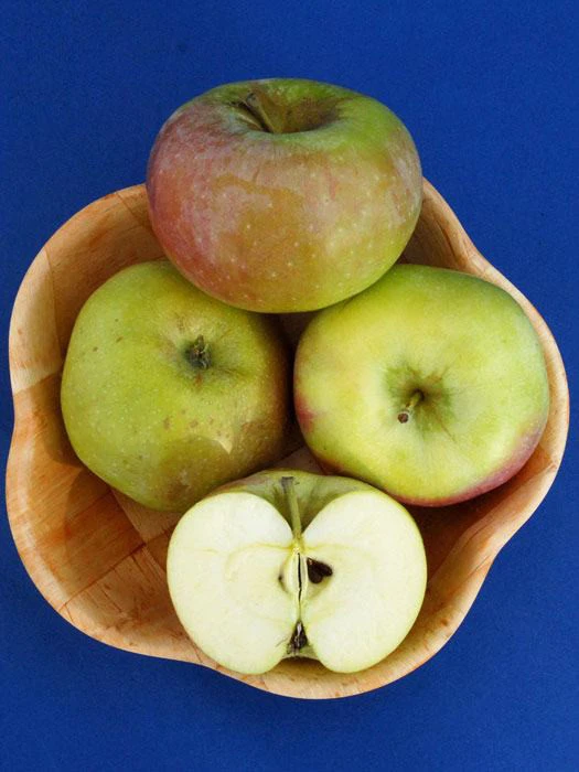 Apfel Ontario â Bild 2