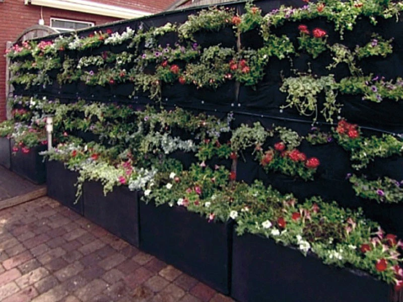 Overgrowing Mat Von Velda (Art.Nr.Vel127590) â Bild 3