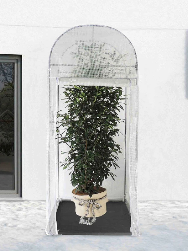 Frost-Schutzhaus PALM-PROTECT (Art.Nr. V29891) – Bild 2