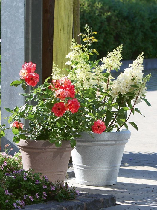 Pflanzkübel Milano – Bild 3