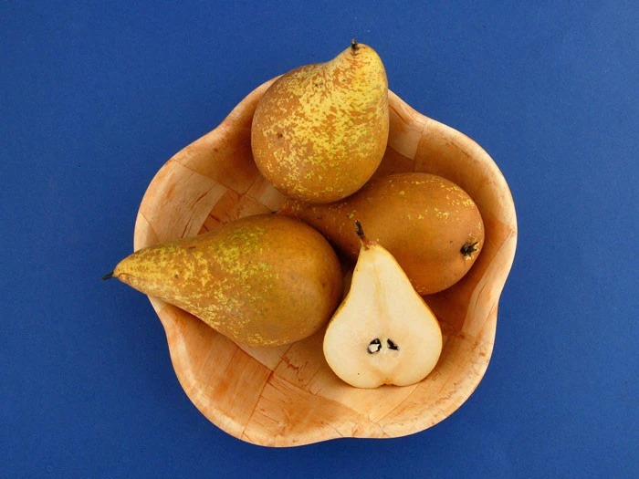 Birne Conference â Bild 2