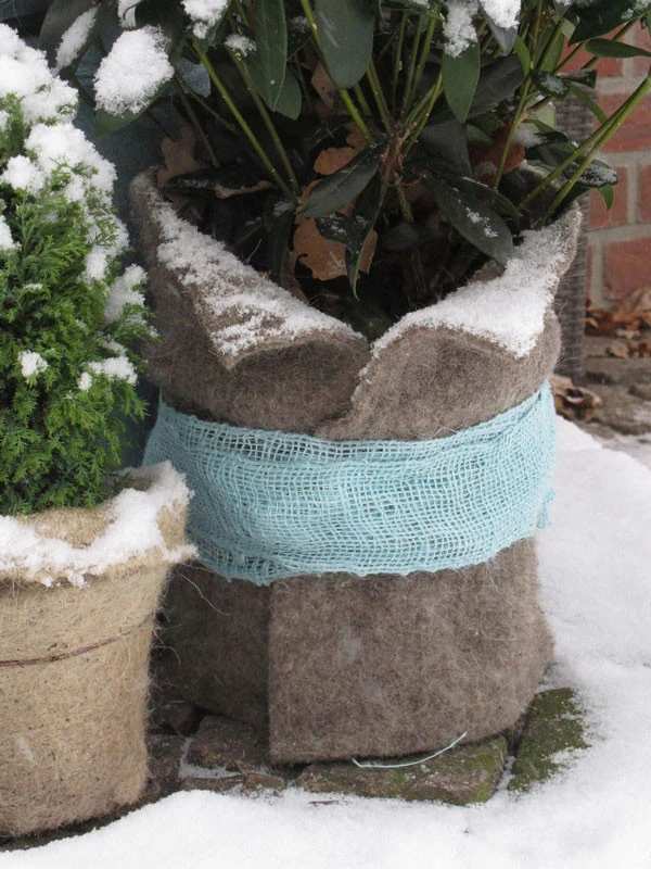 Winterschutz Schafwollmatte Aus Reiner Schafwolle – Bild 5