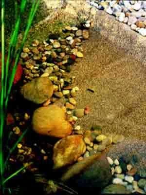 Steinfolie Sand Von OASE â Bild 3