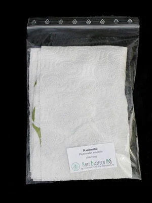 Phytoseiulus-Raubmilbe (Art.Nr. KB4480) – Bild 3